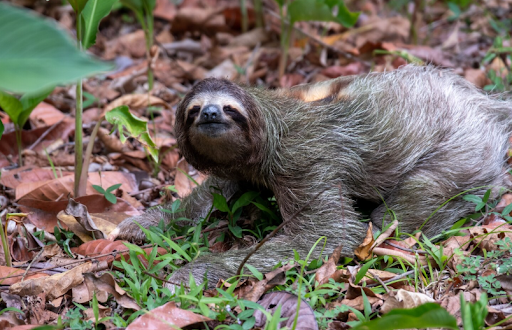 How To Go To Costa Rica With Proper Planning